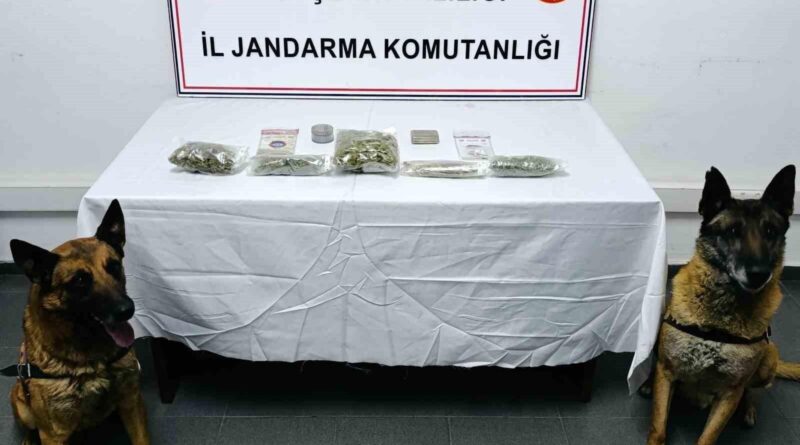 Nevşehir'de Evde 1 Kilo 488 Gram Uyuşturucu Madde Ele Getirildi 1
