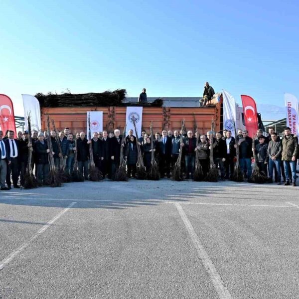 Proje Kapsamında Dağıtılan Ceviz Fidanları-3