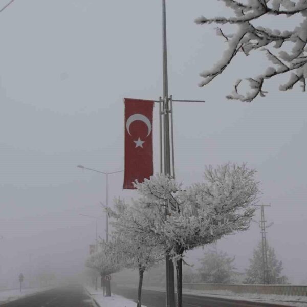 Sibirya soğuklarının etkisiyle beyazlanan Malazgirt ilçesi-5