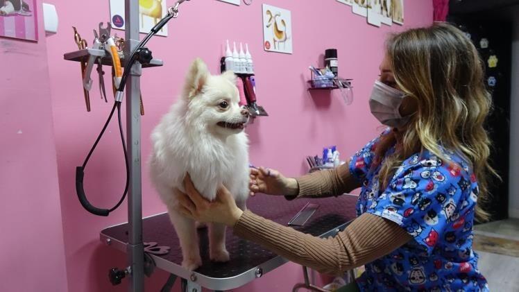 Tavşanlı'ya İlk Pet Kuaförü Açıldı 1