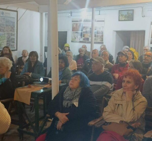 Zeytin bahçesi ve zeytin ağaçlarının gösterimi.-3