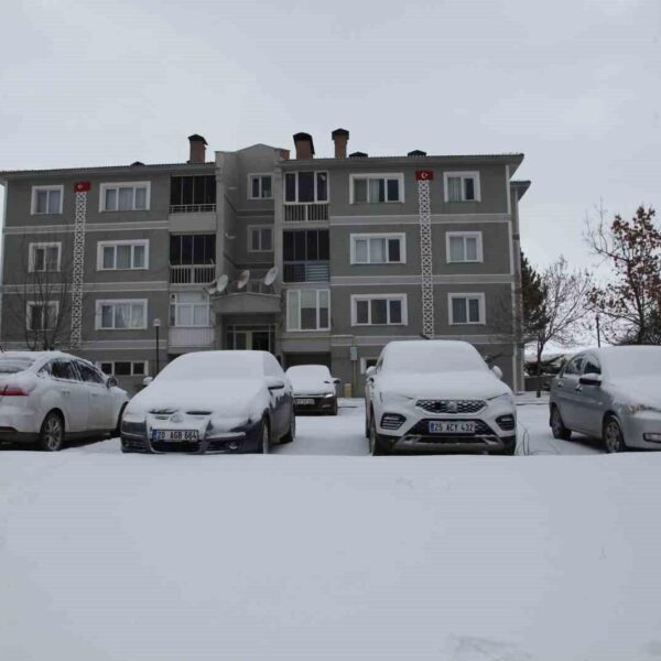 Ahlat ilçesinde kar yağışı sonrası-2