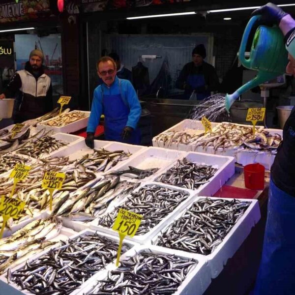 Balıkçıların hamsi ağını çektiği sahne-1