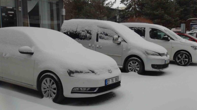 Bitlis'in Ahlat İlçesinde Kar Yağışı Köy Yollarını Ulaşıma Kapattı 1
