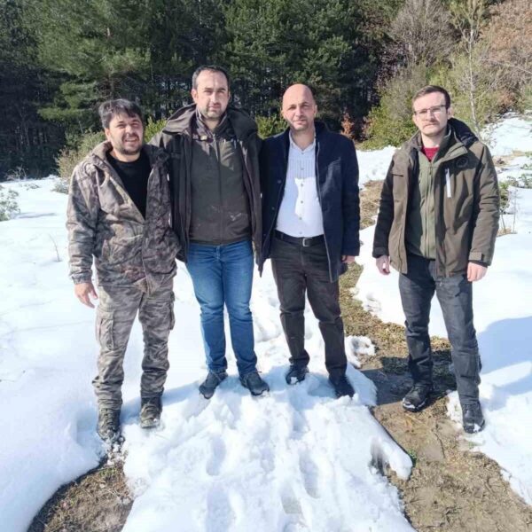 Çatalzeytin Yaban Hayatı Geliştirme Sahası-3