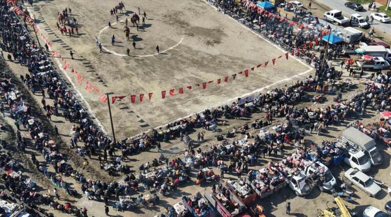 Çine Deve Güreşi Festivali'nde Jandarma Güvenlik Sağladı 1