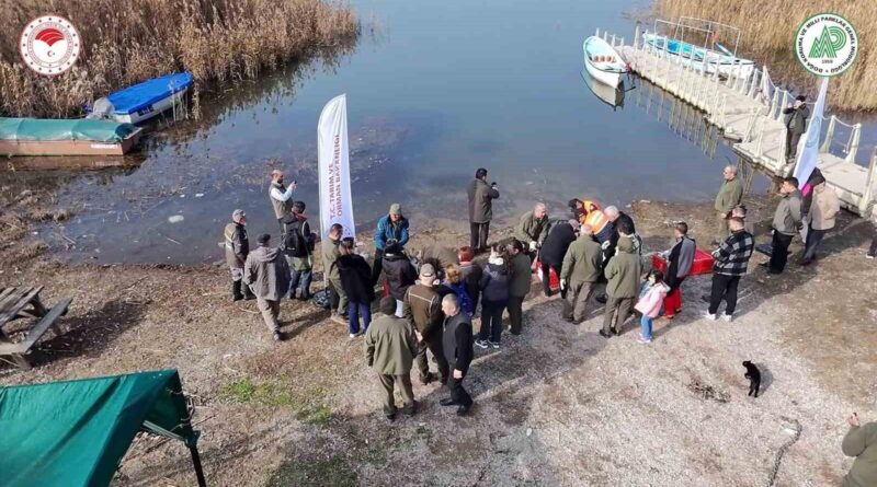Dünya Sulak Alanlar Günü: Bursa ve Yalova'da Yaban Ördekleri Suya Salındı 1