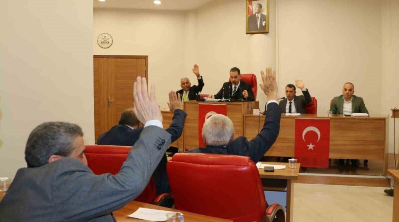 Erzincan İl Genel Meclisi Şubat Toplantısı 1