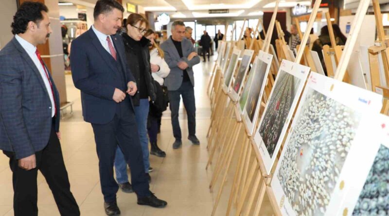 Eskişehir'de Uluslararası Tarım Orman ve İnsan Fotoğraf Yarışması Sergi Açıldı 1