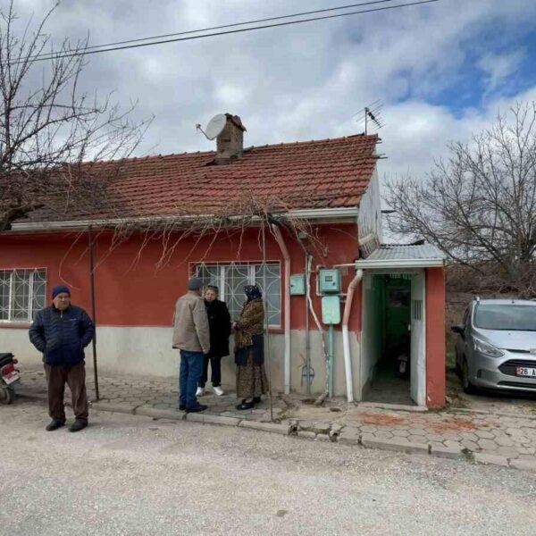 Farelerin yediği cansız bedenin bazı kısımları.