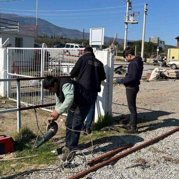 Geleneksel Deve Güreşi Festivali-3