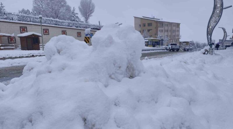 Hakkari'de Kar Yağışı: Okullar Tatil, 168 Yerleşim Yolu Ulaşıma Kapandı 1