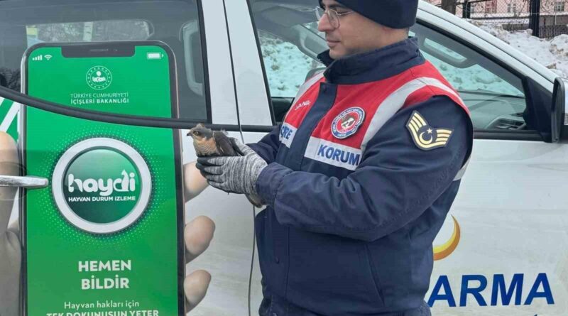 Jandarmadan atmacaya şefkat eli uzandı 1