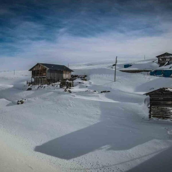 Karla kaplı ağaçlar ve ahşap yayla evleri-1