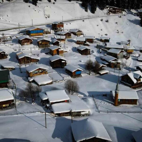 Karla kaplı ağaçlar ve ahşap yayla evleri-4