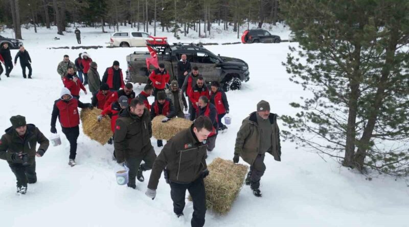 Kastamonu'da Yaban Hayvanları İçin Yem ve Yiyecek Desteği 1