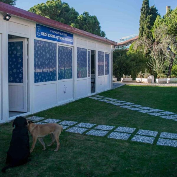 Kuşadası Belediyesi'nin kısırlaştırma merkezine gelen hayvan severler-2