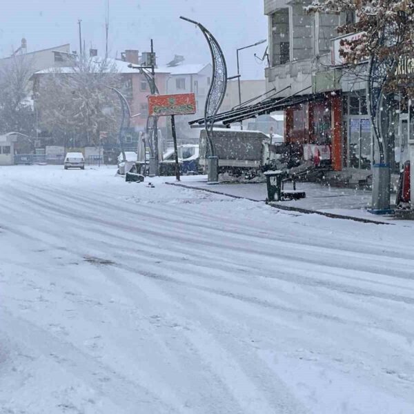 Malazgirt'te kar yağışı nedeniyle beyazlanan evler-2