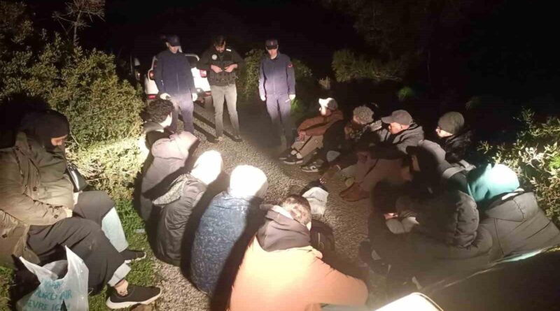 Muğla Bodrum'da 17 Düzensiz Göçmen Yakalandı 1