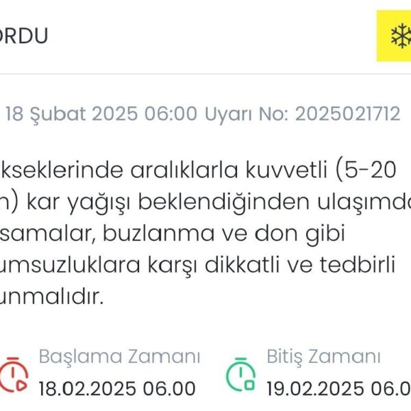Orta Karadeniz'de kar yağışı-1