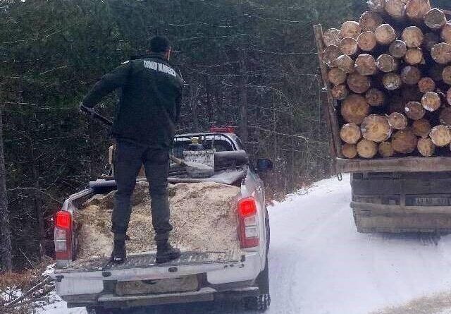 Simav Orman İşletme Müdürlüğü Ekipleri Yolda Kalan Kamyonlara Yetişti 1