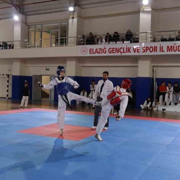 Taekwondo müsabakaları-1