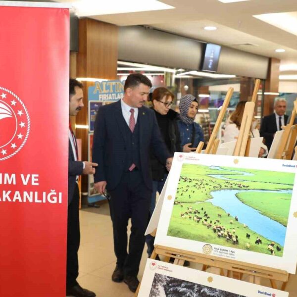 Tarım Orman ve İnsan Fotoğraf Yarışması'nda seçilen fotoğraflar-1