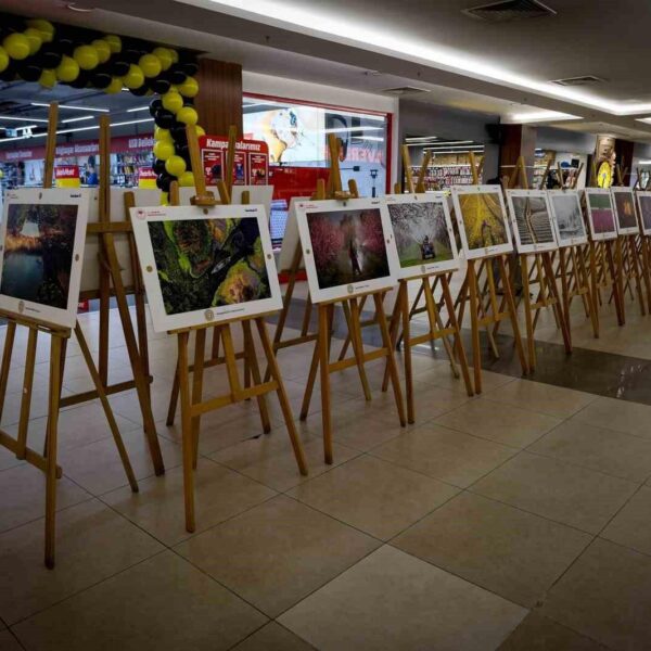 Tarım Orman ve İnsan Fotoğraf Yarışması'nda seçilen fotoğraflar-3