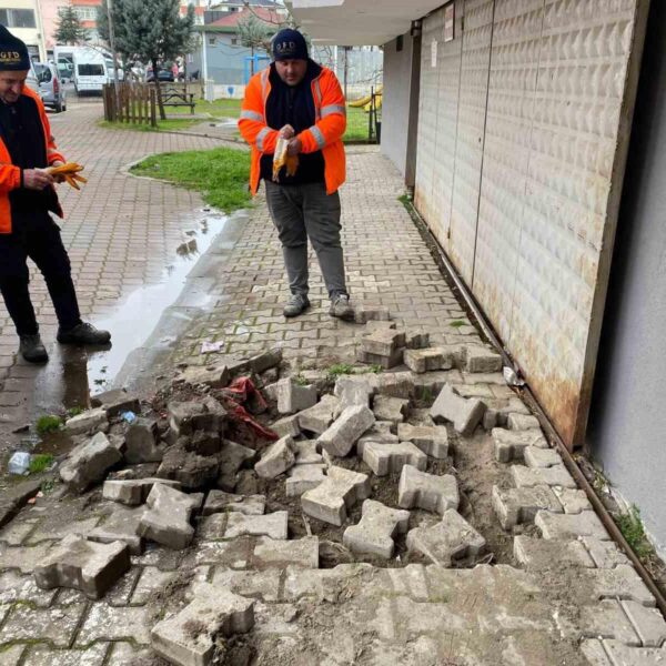 Terme Belediyesi'nin mobil ekibi yürüyüş yolunda bakım çalışması yapıyor.-3