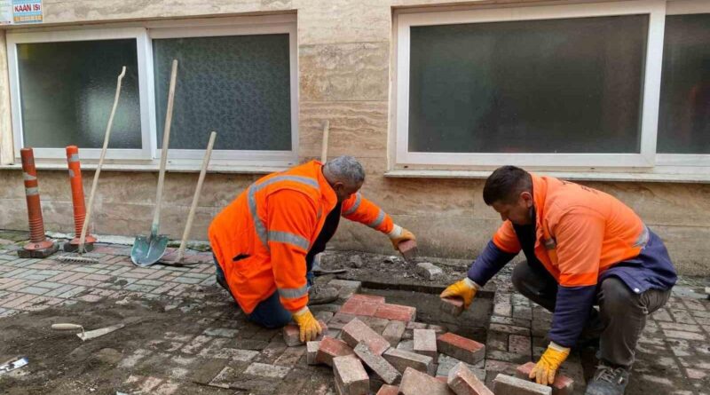 Terme Belediyesi, Şehirdeki Yürüyüş Yolları ve Refüjlerde Bakım, Onarım ve Yenileme Çalışmalarını Sürdürüyor 1