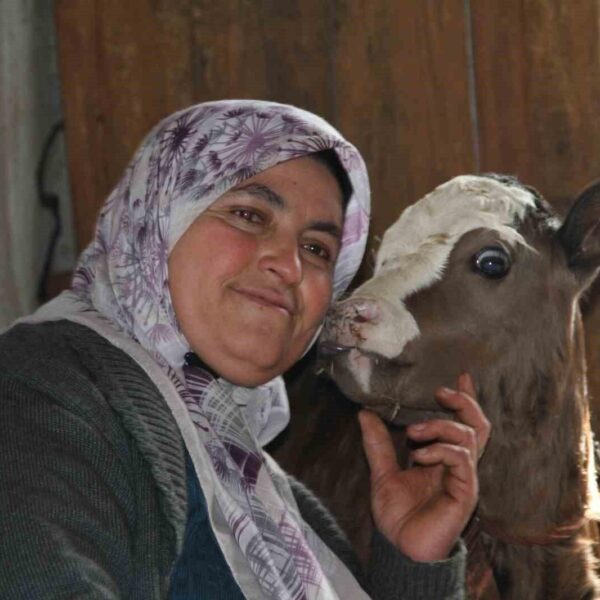 4 çocuk annesi Satı Kara, ahırda hayvanlarına bakıyor.-1
