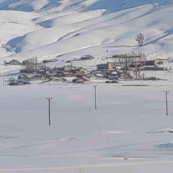 Aç kalan tilki-1