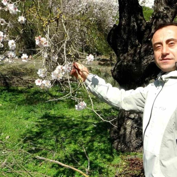 Badem ağaçlarının çiçek açtığı manzara-5