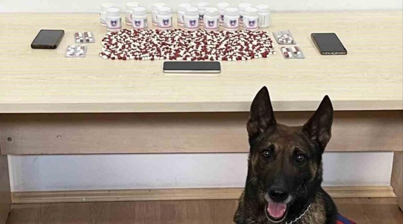 Binlerce uyuşturucu hapla yakalanan 2 şüpheli tutuklandı 1