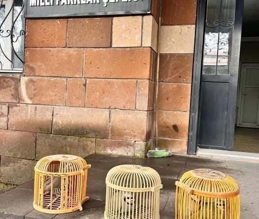Bitlis’te yasadışı avlanan şahsa 64 bin 855 TL ceza kesildi 1