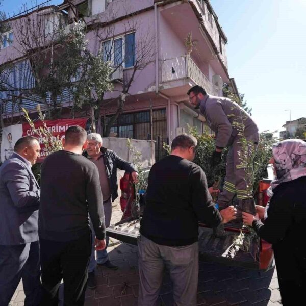 Denizli Büyükşehir Belediyesi'nin zeytin fidanı dağıtımının bir anı-1