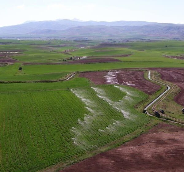 Erzincan Valisi Hamza Aydoğdu-1