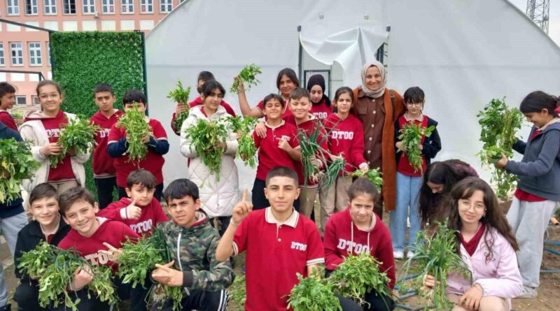 Erzincan’da öğrenciler sebze hasadına başladı 1
