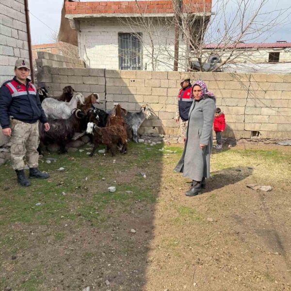 Gözaltına alınan şüpheliler