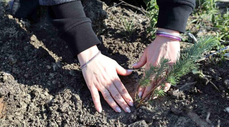 İzmir Ekonomi Üniversitesi, Kadın Çalışanları Adına 'Hatıra Ormanı' Oluşturdu 1
