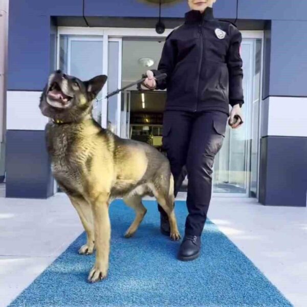Kadın polislerin görev yaptığı bir sahne-5