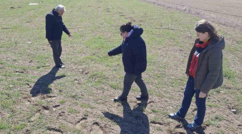 Kütahya'da Tarla Faresi ile Mücadele Kapsamında Arazi Kontrolleri Devam Ediyor 1