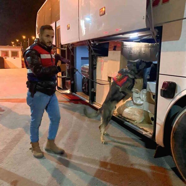 Mersin'de trafik denetimi-1