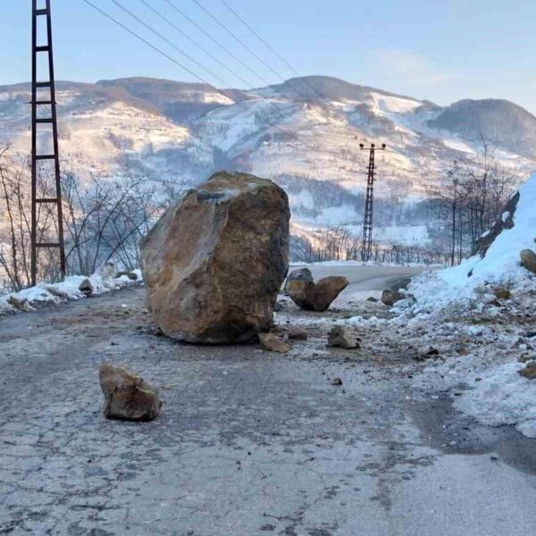 Ordu Büyükşehir Belediyesi ekiplerinin heyelan bölgesinde çalışmaları-4