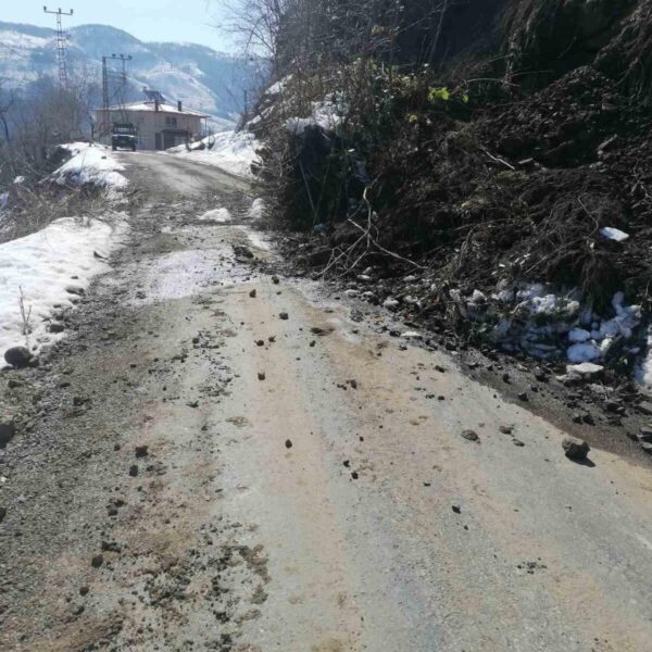Ordu'da heyelan sonucu oluşan hasar-1