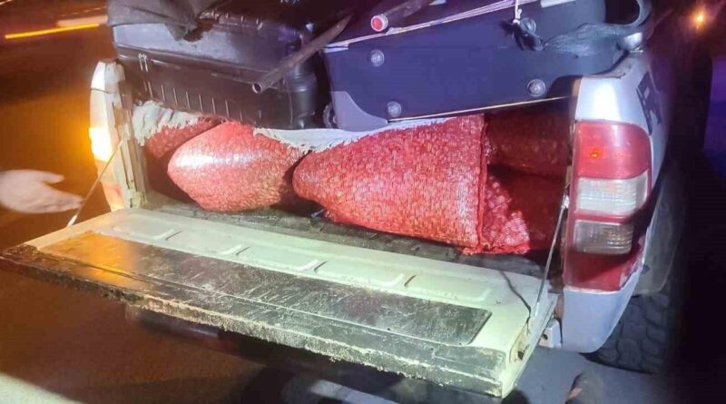 Park halindeki kamyonette 600 kilo kaçak kum midyesi ele geçirildi 1