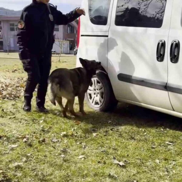 Tokat Emniyet Müdürlüğü'nün yayınladığı 8 Mart klibi-4
