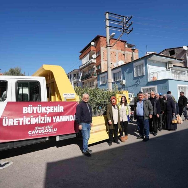 Vatandaşlar ücretsiz zeytin fidanı alıyor-2