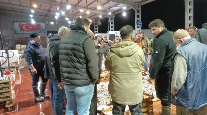 Av yasağı başladı, küçük teknelerin getirdiği balıklar mezatta satıldı 6