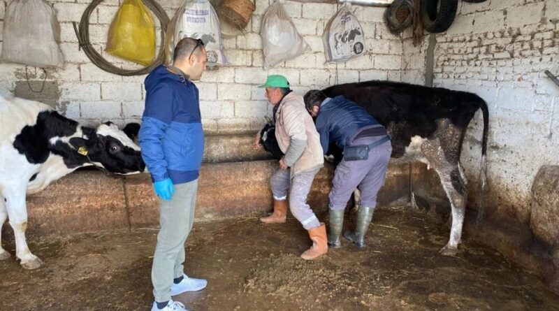Aydın’da hayvan sağlığı çalışmaları sürüyor 1
